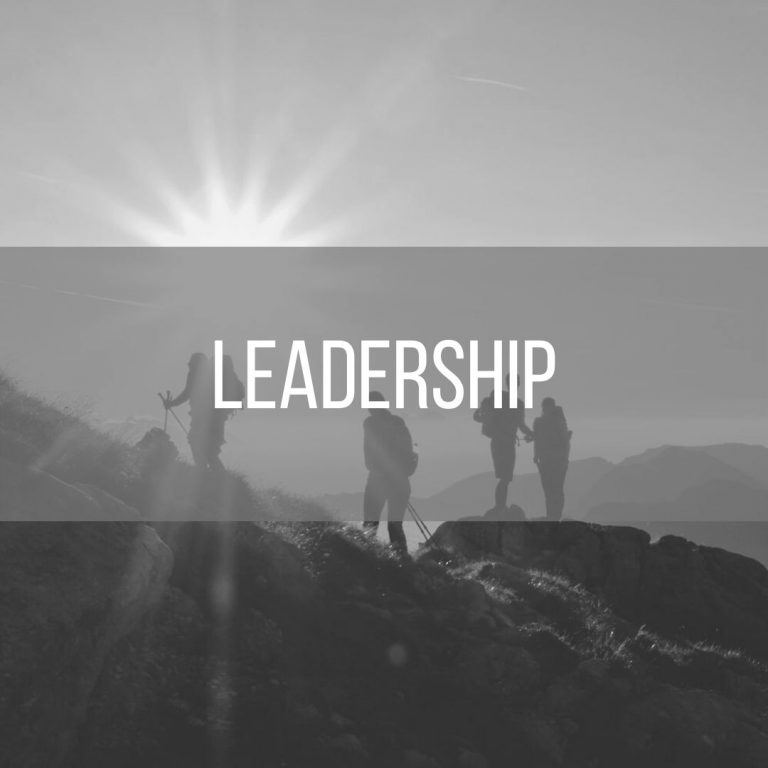 About Security Brands, Inc.